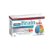 Hoạt Huyết Vinpha Brain Gaba